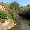 Flusslandschaft der Jahre 2016/17: Trave (Stadtarm bei Bad Oldesloe)